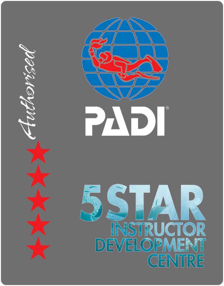 PADI 5 star Instructor Development Center in Cabo San Lucas